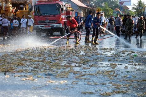 Tradisi Aci Tabuh Rah Pengangon Di Bali Antara Foto