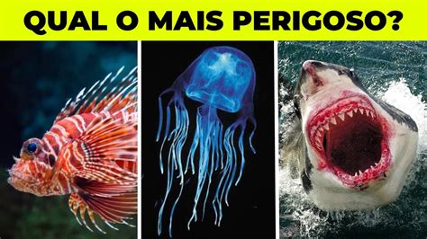 Top Animais Marinhos Mais Perigosos Do Mundo Youtube