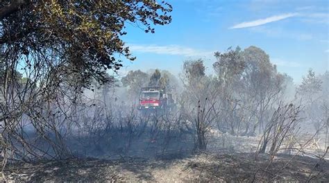 Lehigh Acres Brush Fire Contained Considered Suspicious Wink News