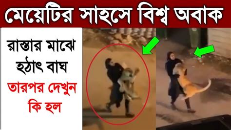 কালকে রাস্তার মাঝে হঠাৎ বাঘ তারপর দেখুন কি হল 😱 Brave Girl Viral