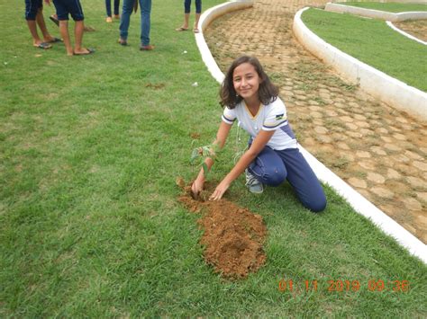 Semma Promove Dia De Educa O Ambiental No Distrito De Bec Semma