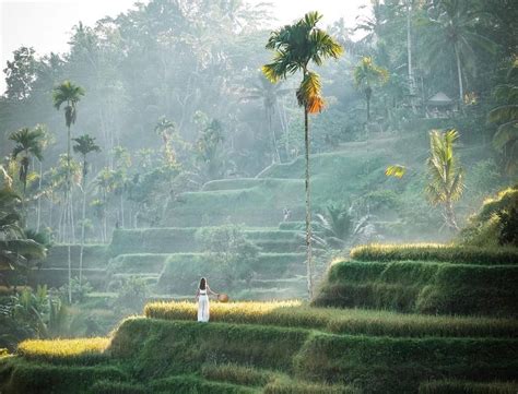 Ubud Kanto Lampo Tukad Cepung Rice Terrace Batuan Temple