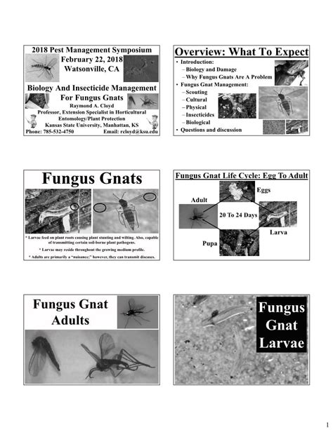 Biological Control of Fungus Gnats - DocsLib