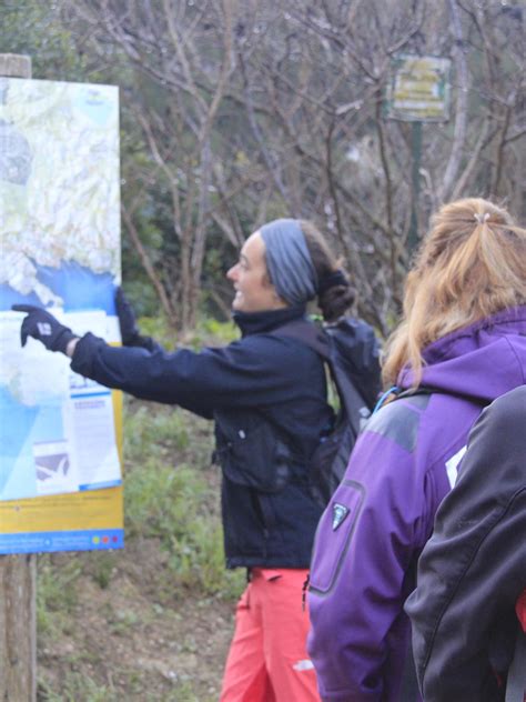 The most beautiful hikes in the Calanques | Marseille Tourism