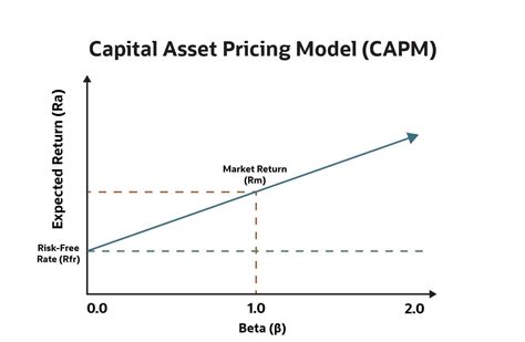 What Is The Capital Asset Pricing Model CAPM NetSuite