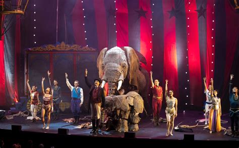 experience  spectacular circus   melbourne melbourne