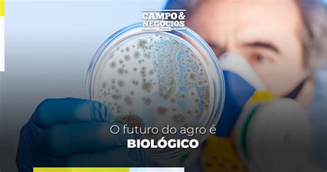 O Futuro Do Agro Biol Gico Tropical Estufas Agr Colas Hidroponia