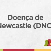 Estado confirma foco de doença de Newcastle Secretaria da Agricultura