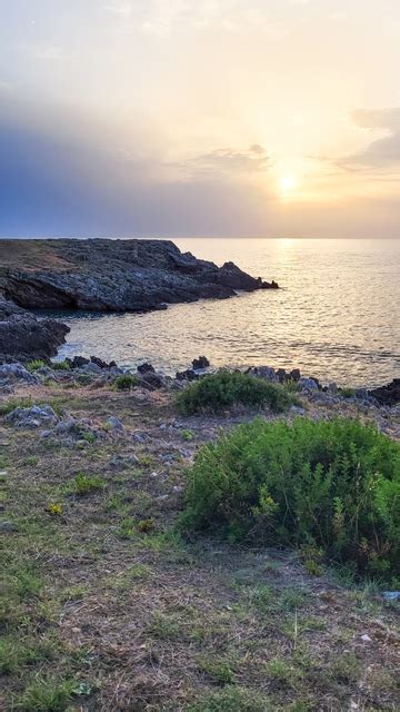 Diamante In Calabria Cosa Vedere Nella Citt Dei Nasi All Ins