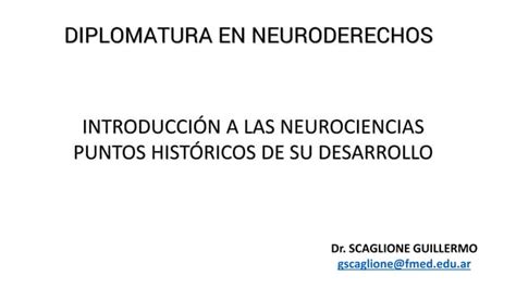 Introduccion A Las Neurociencias Pdf