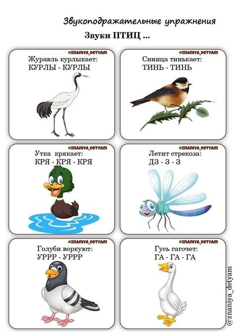 ОБУЧАЮЩИЕ КАРТОЧКИ «ЗВУКОПОДРАЖАНИЕ» #задания_на_...