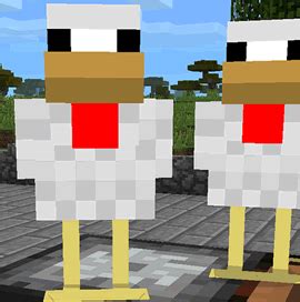 Chicken Minecraft Pocket Edition Canteach