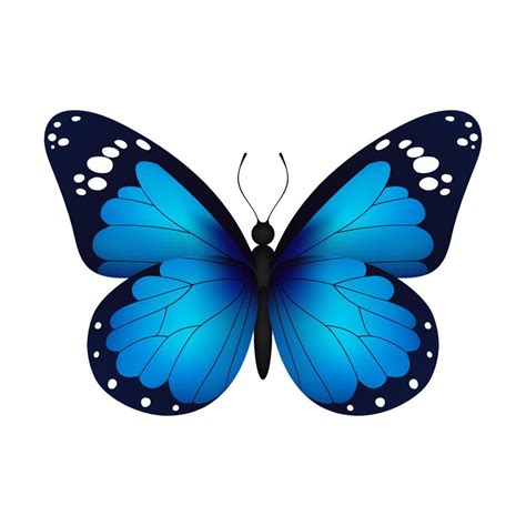 Blue Realistic Flying Monarch Butterfly On A White Background Vector