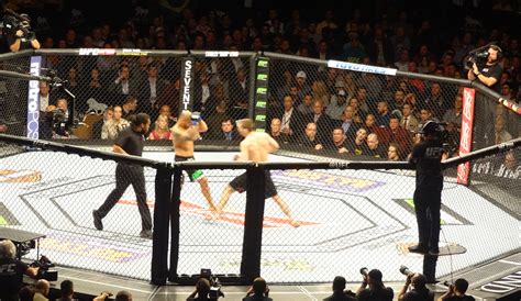 MGM Grand Garden Arena UFC Silva Diaz