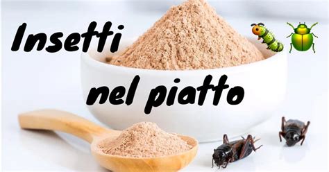 Insetti Nel Piatto Rivoluzione Dimagrante