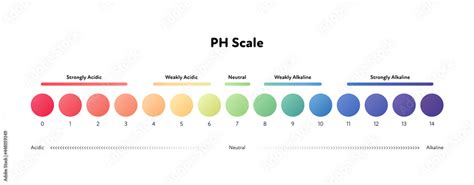 Ph scale infographic. Vector flat healthcare illustration. Color meter with number and text from ...