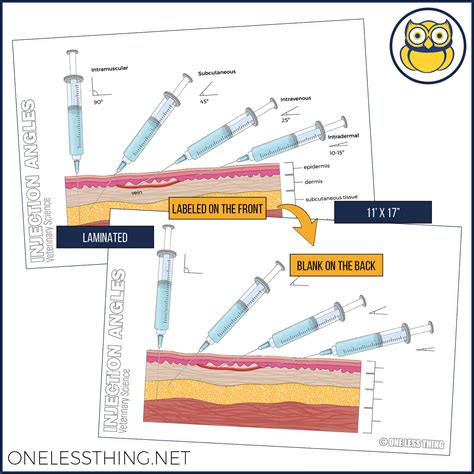 Vet Science Injections and Directions Posters, Set of 4 - One Less Thing