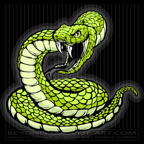 Graphic Snake Graphic Vector Image