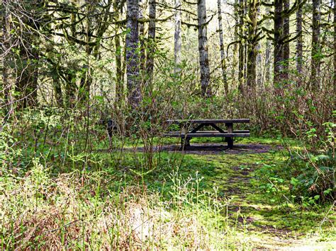 picnic table   woods  stock photo public domain pictures