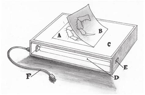 Caja De Luz A Dibujo Patrón B Lámina Terminada C Tapa Plástica