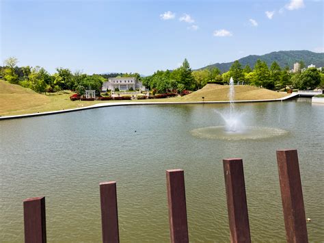 Suncheon Bay National Garden and Wetlands - Roamad