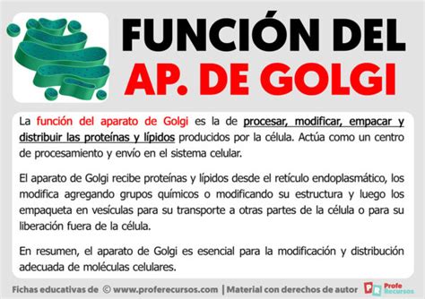 Función del Aparato de Golgi