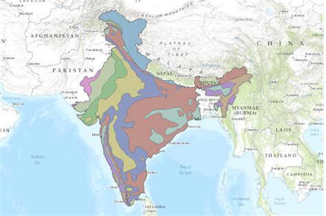 India Annual Rainfall | Data Basin