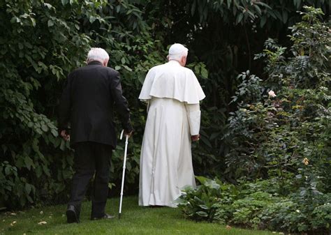 The Unexpected Way Pope Benedict Helped Me Learn To Pray With All Creation National Catholic