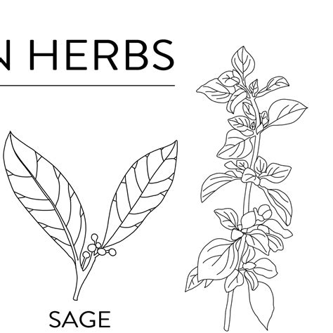 Kitchen Herbs Poster A4 To A2black And White Printkitchen Etsy