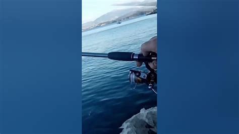 Match Fishing In Greece Youtube