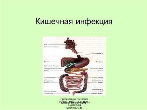 Кишечная инфекция - YouTube