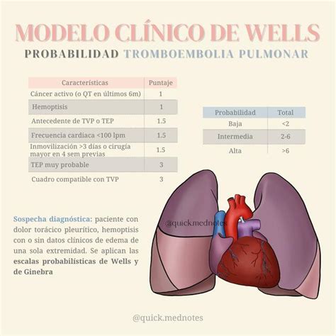 Total 36 Imagen Modelo De Wells Abzlocal Mx