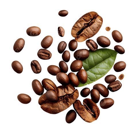 Coffee Beans Leaves Coffee Beans Leaf Separate Png Transparent Image