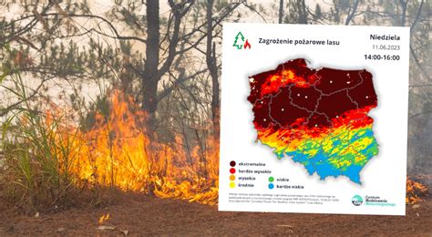 RCB alarmuje ekstremalne zagrożenie pożarowe w lasach Alerty w kilku