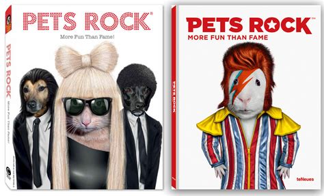 Pets Rock More Fun Than Fame Book Launch Pets Rock