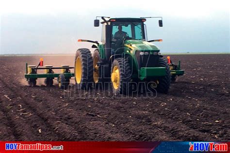 Hoy Tamaulipas Productores Tamaulipecos Iniciaran Siembra De Sorgo