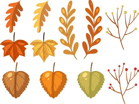 Set Of Different Autumn Leaves On White Background Vector Art