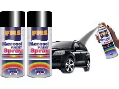 Fms Car Multi Purpose Lacquer Spray Paint Black Colour Set Of