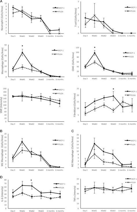 Temporal Cascade Of Monocyte Chemotactic Protein 1 MCP 1 Mediated