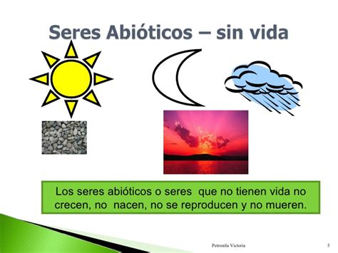 Que Son Seres Bioticos Y Abioticos Ejemplos Nuevo Ejemplo Images Porn