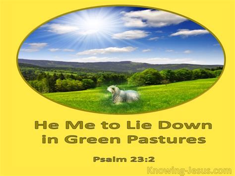 Psalm 232a Verse Of The Day