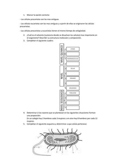 Ejercicios Biología Celular Giuliana Hakanson Udocz