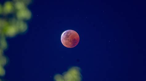 Lunar Eclipse Photos Of Tuesday Nights Blood Moon From Across The