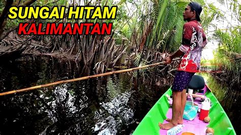 BARU PERTAMA KALINYA SAYA LAKUKAN INI DI SUNGAI HITAM KALIMANTAN ANGKAT