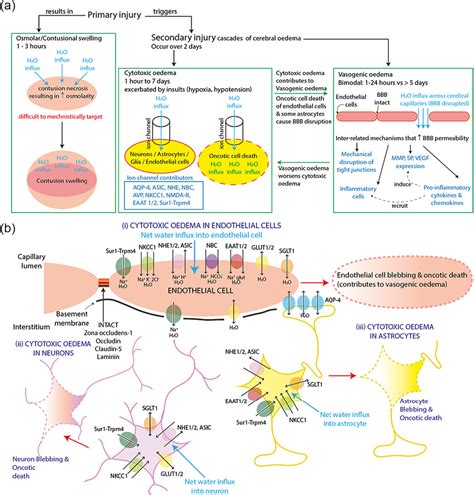 Recent Technological Developments In The Diagnosis And Treatment Of