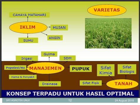 Konsep Dasar Agronomi Ir Surtinah M Ppt Download