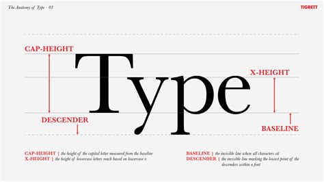 Typographic Terminology The Anatomy Of Type 01 The Basics The