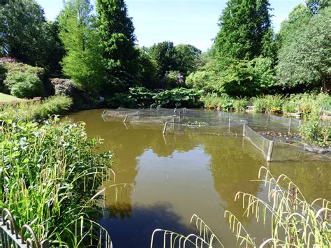 Walton Hall And Gardens Set To Reopen Walton Hall And Gardens