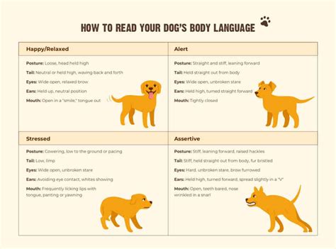 Understanding Dog Body Language Decoding Canine Communication