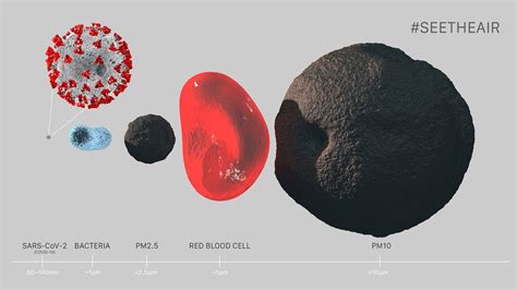 PM 2 5 The Basics